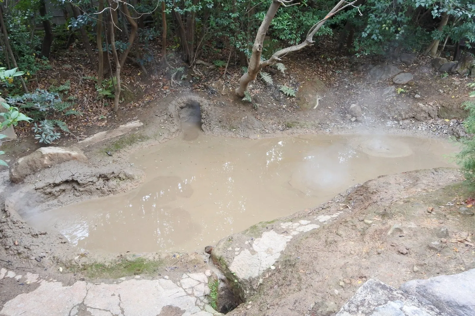 Brown hot mud at Kamado Jigoku, its surface bubbling