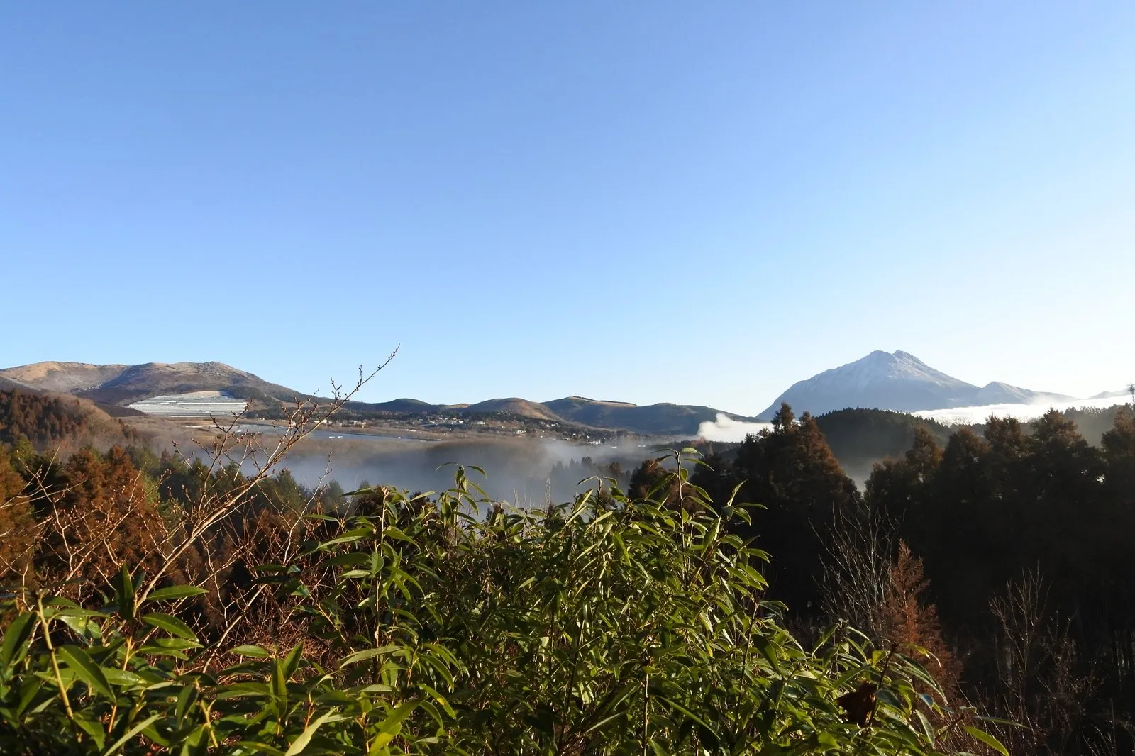 Mt. Yufu in the morning with a white sea of clouds lying in front of it
