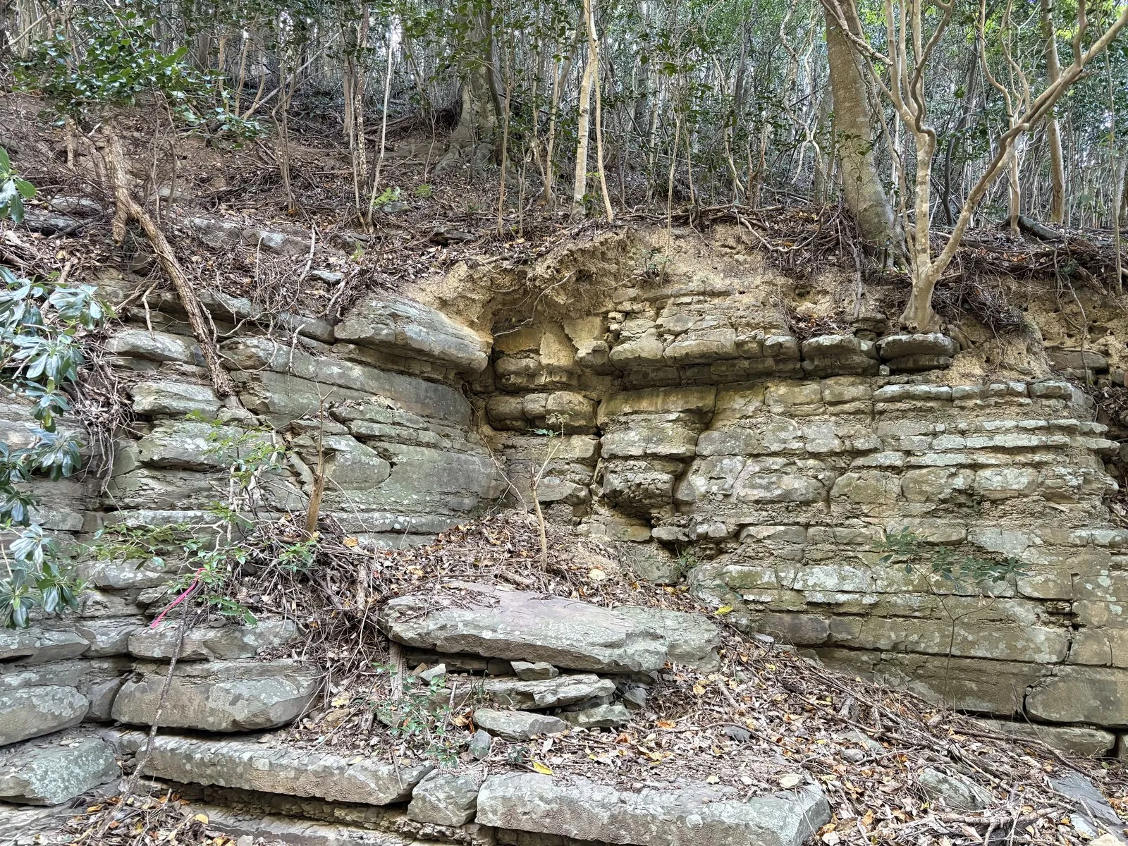 西漕手近くの岩壁。ミルフィーユのように水平な層が積み重なっている