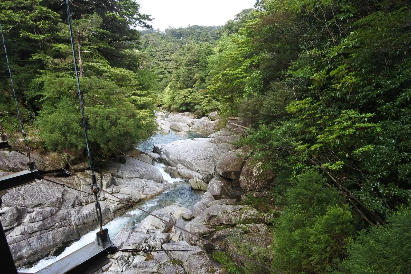 ヤクスギランドの渓流。白い花崗岩の岩肌の上を澄んだ水が流れ、吊り橋のワイヤーが見える